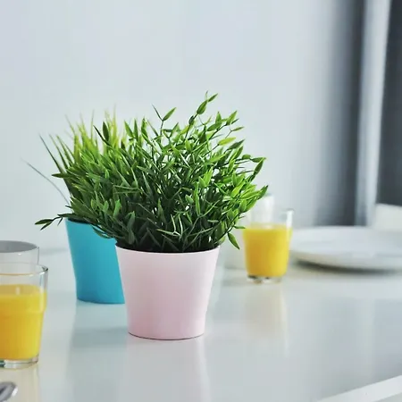 Centrum Apartament Poznań